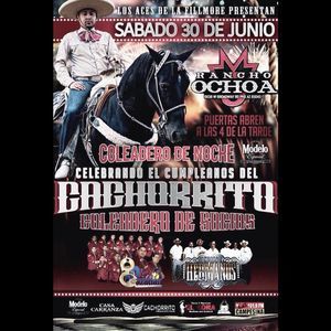 Meet your Posher, Hugo